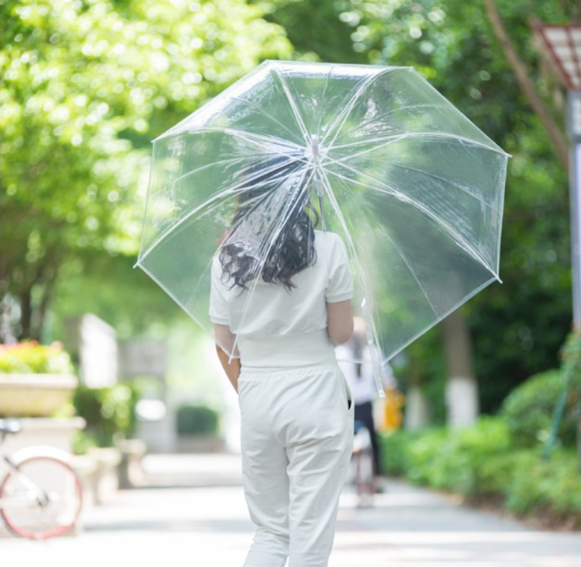 Portable Transparent Clear Umbrella